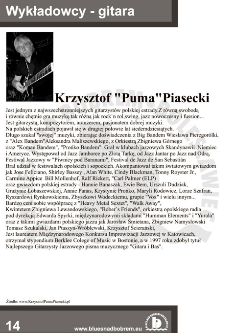 Blues nad Bobrem - Biuletyn 2008, strona 14
