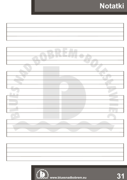 Blues nad Bobrem - Biuletyn 2008, strona 31